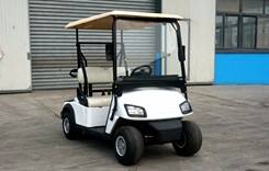 Mini 2 seats electric golf cart price