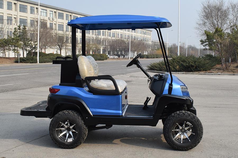 2021 New Design Z series 2 seater electric golf cart
