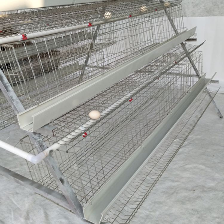 chicken cage for sale with the best price