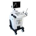 good quality trolley Ultrasound Diagnosis B Scanner ultrasound machine with trans vaginal probe