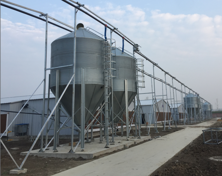 Steel Feed Tower Silo for Pig Farm Chicken Farm Feeding System