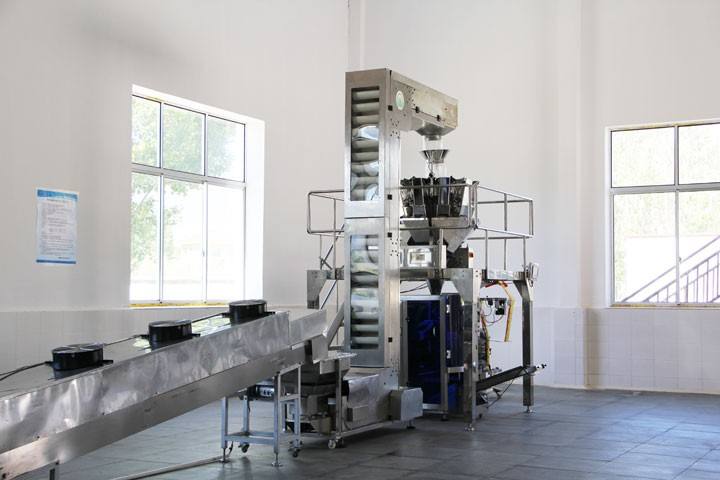 Hot Sales Oat Crispy  Production Line