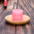 OEM Moisturizing Anti Aging Anti Wrinkle Lip Care Night Sleeping Mask Pink Lip Balm