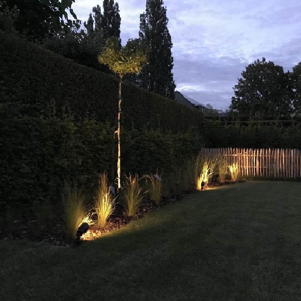 Solar Outdoor Lighting Landscape Spotlights Red and Blue Laser LED Outdoor Solar Powered Garden Wall Lights