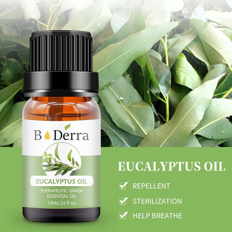 Borui manufactures bulk supply natural eucalyptus essential oil best price