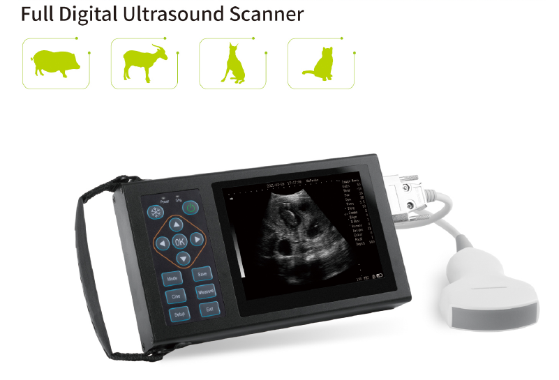 YD-TB-A10 full Digital veterinary 5.6inch portable vet ultrasound scanner pet ultrasound machine