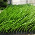 High standard synthetic football grass rubber base carpets