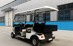 Electric 2 seater golf carts factory price With cargo box