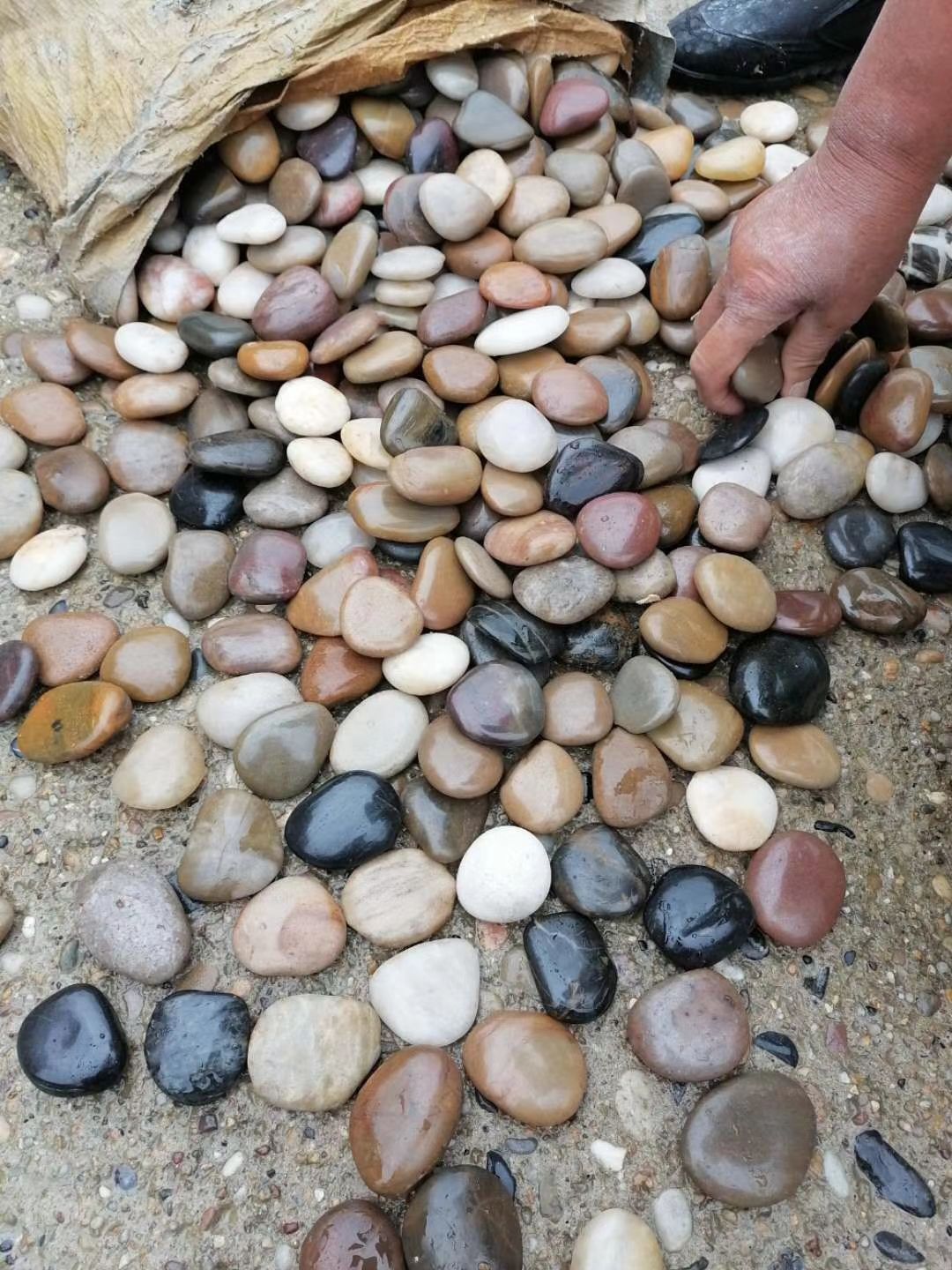 Polished black pebbles stone River Rock landscape Decorative Gravel Landscaping