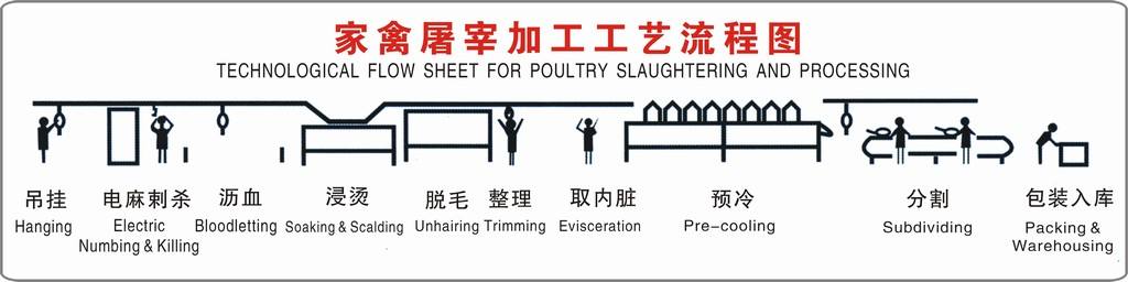 best sale pigeon plucking machine for small slaughtering house with good price