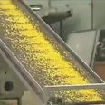 Mini corn flakes machine corn flakes extruder machine corn flakes making machine