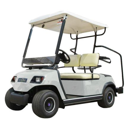 2 seaters electric off-road utility vehicle hunting buggy