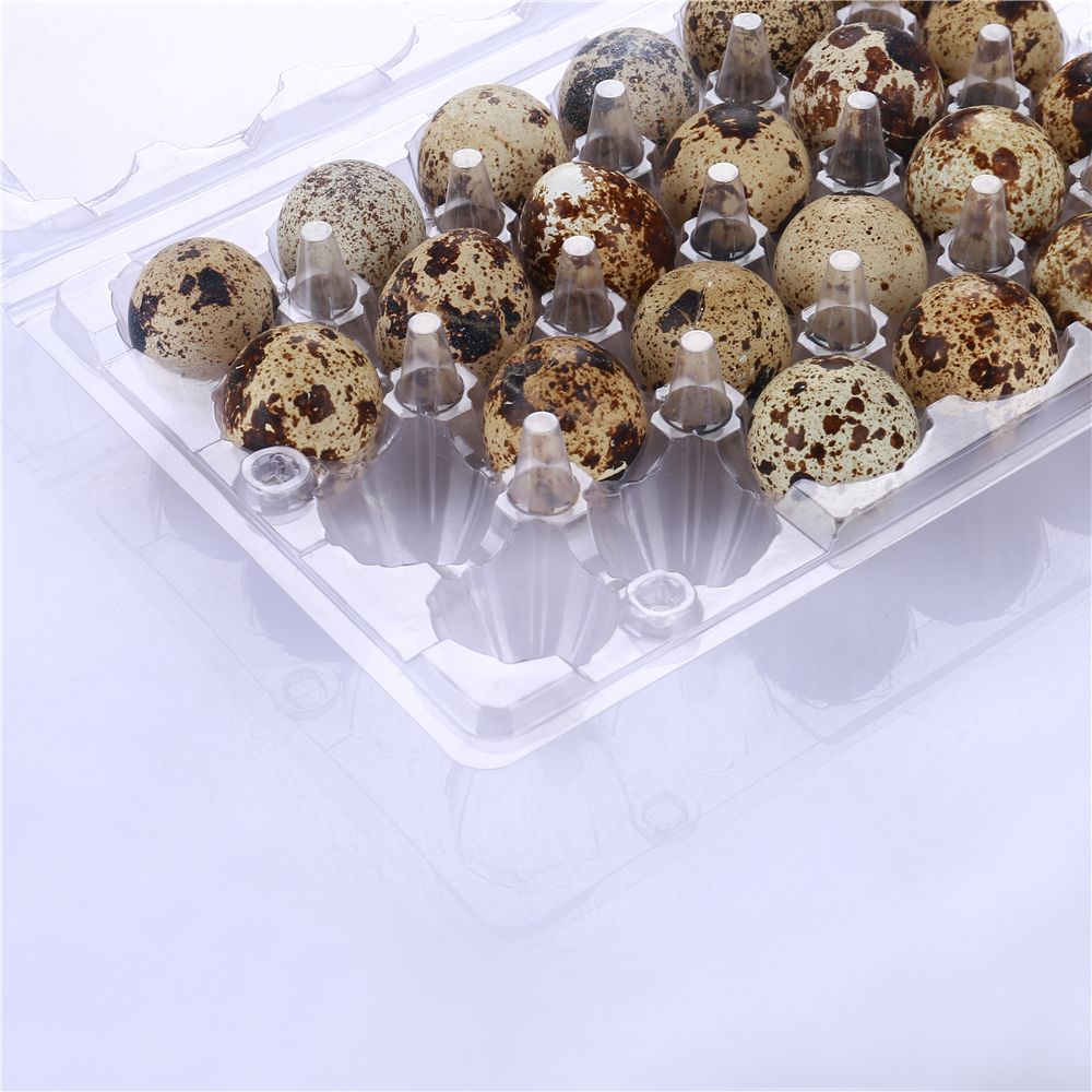 24  holes   4x6 plastic quail egg tray PET  quail egg cartons plastic Free Shipping