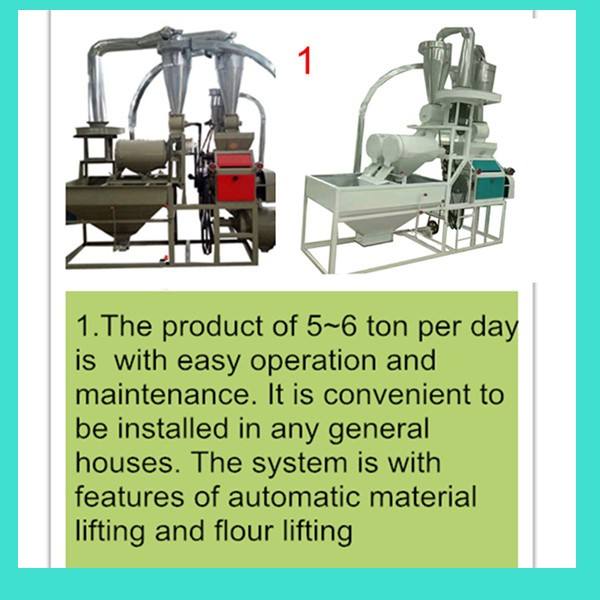 5ton maize flour milling machine / maize flour plant with complete processing line