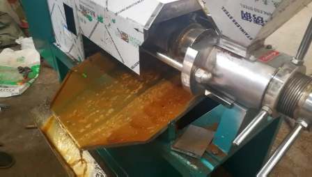 Hengtong manufacturer Black seed oil press machine Brazil nut oil press machine Avocado oil extractor