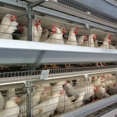 superior quality poultry chicken portable cage chicking farm  chicken cage layers chicken cages for africa