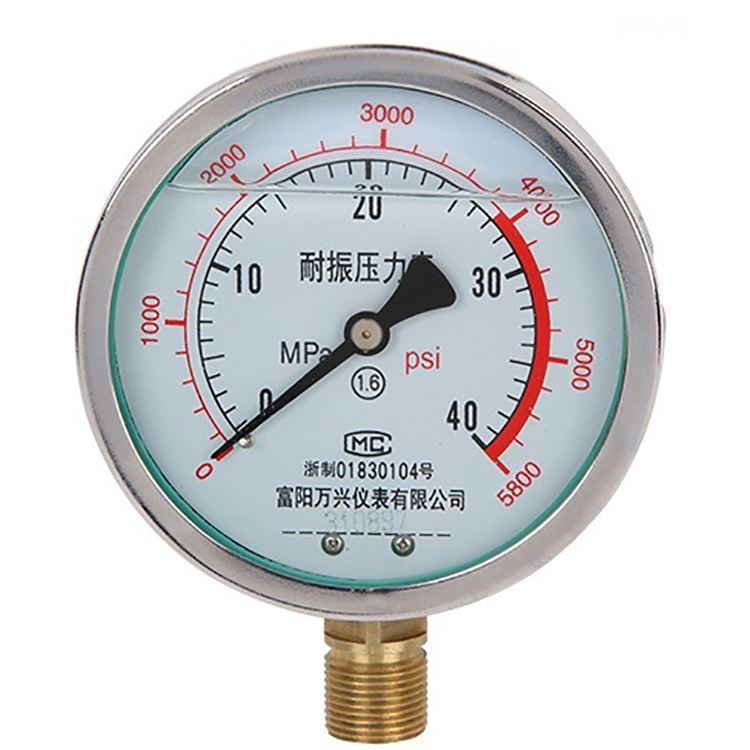Custom precision test atmospheric mechanical pressure gauge glycerinum pressure gauge manometer