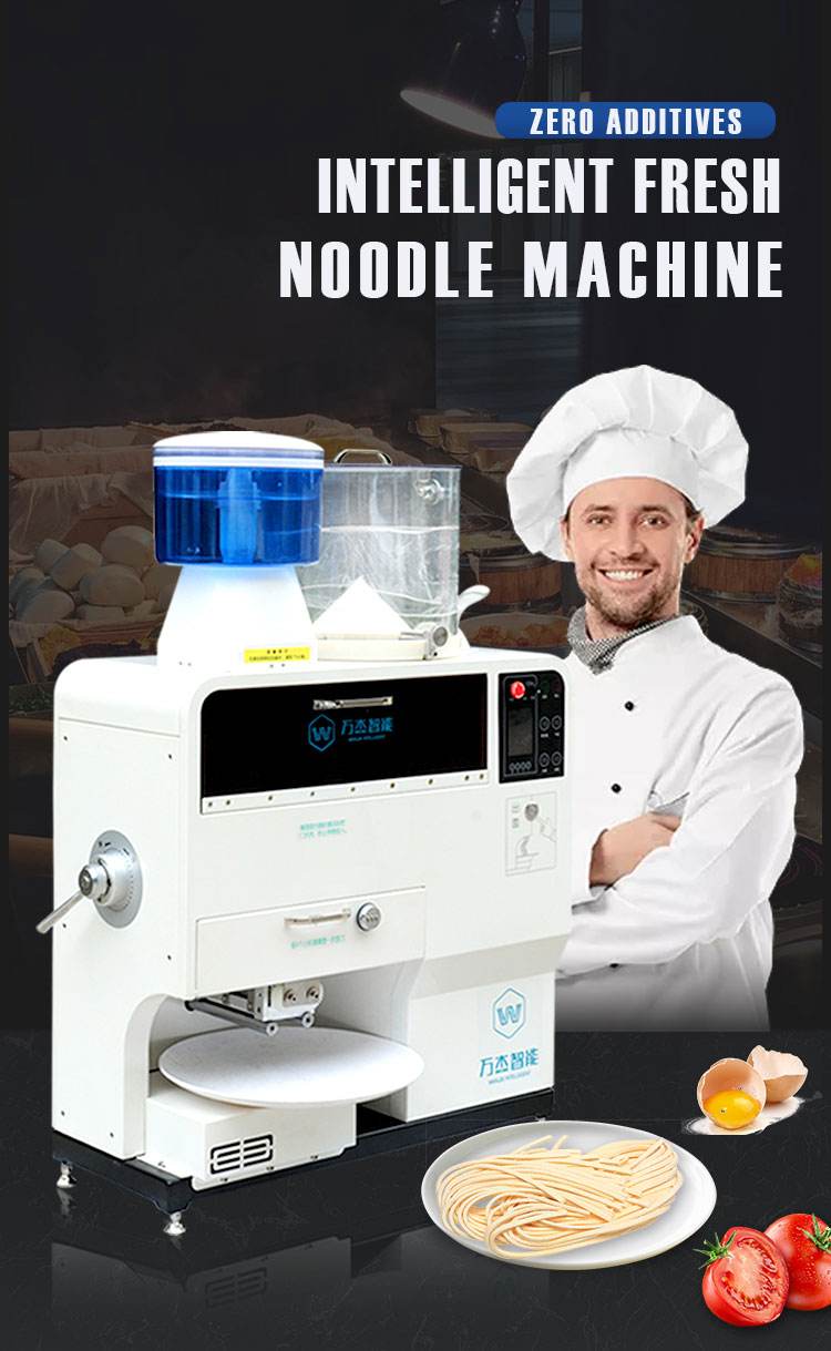 Kitchen Household 220v Electric Automatic Noodle Maker Pasta Machine, Multi-Function Noodle Marking Machine