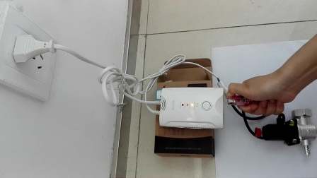 220V AC Personal Carbon Monoxide Alarm CO Gas Detector From Manufacturer