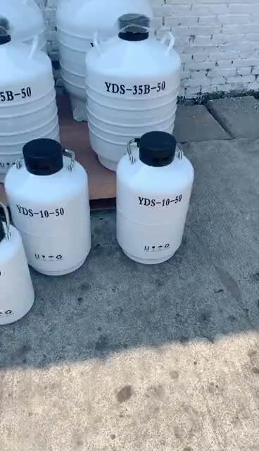 6l Small Capacity Thermos 6 Liter Liquid Nitrogen Semen Container For Semen Embryo Storage