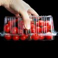 factory direct fruit and vegetable container candy snacks nut dessert PET clear food grade punnet  take away custom printed