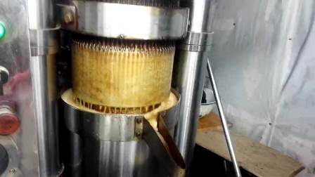 Black Pepper Oil Making Master Sesame Oil Extraction Press Machine For Sale