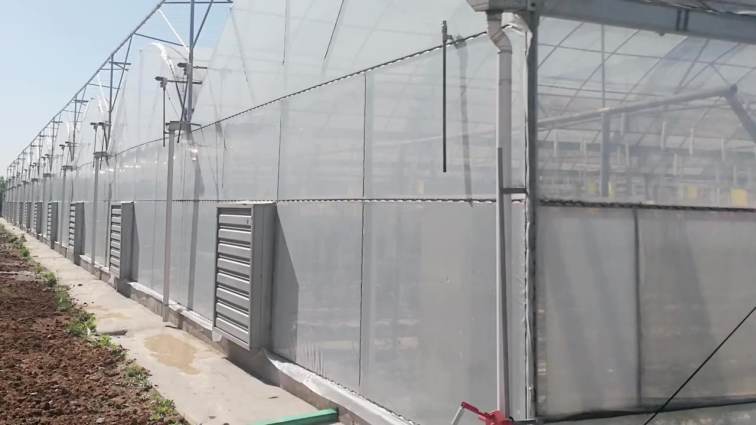 Manufactures multi span arch doom poly tunnel film greenhouse hydroponic greenhouse plastic for vegetables