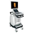 Full Digital Color Doppler Ultrasonic Diagnostic System Trolley Ultrasound scanner Machine
