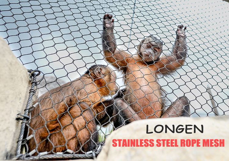 Flexible Stainless Steel Wire Rope Knotted Zoo Mesh Fencing Animal Enclosure