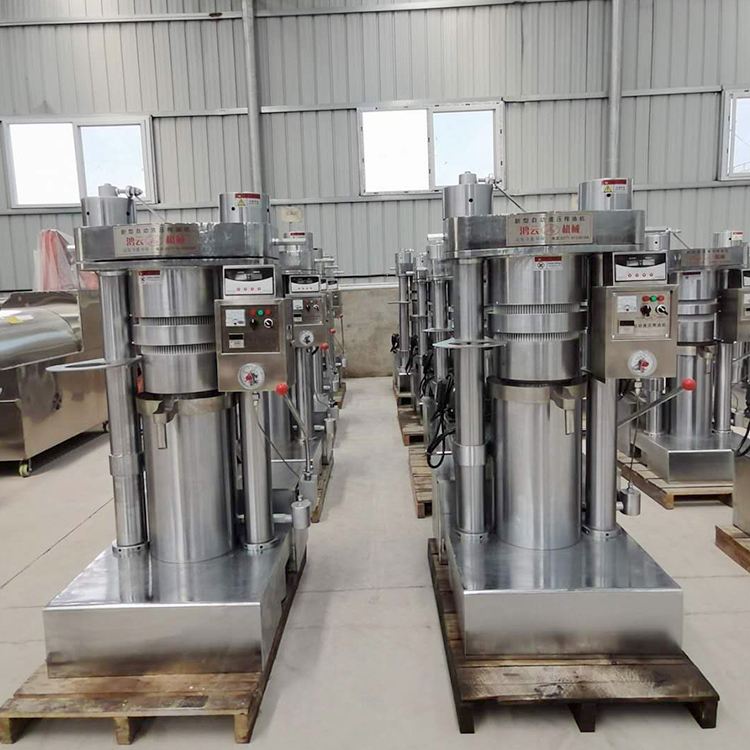 R211 sesame oil pressers for sale