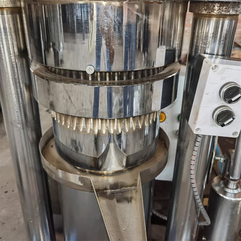 almond oil press machine / olive small cocoa butter hydraulic peanut oil press machine