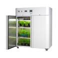 LIYI Plant Growth Chamber Artificial Climate Box Germination Machine Plant Incubator