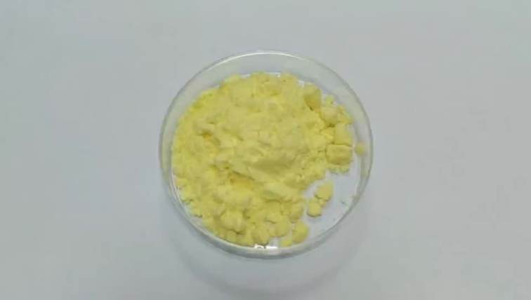 Organic Ginger Extract Powder 5% Gingerol For Sale