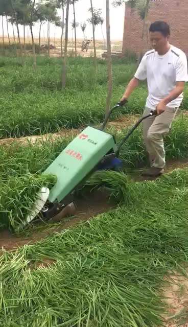 Factory wholesale high quality small electric leek harvest machine for farm