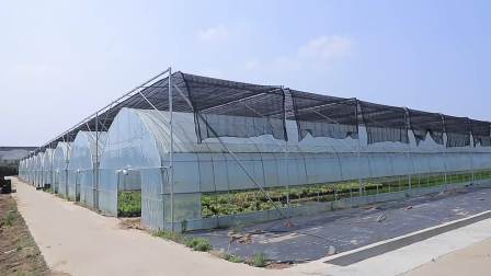 Polytunnel Green House serre  Side Ventilation Agriculture Single-Span Greenhouse