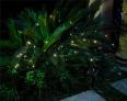 Stocked 100LED Bright Solar Fairy Twinkle String Light for Garden Path