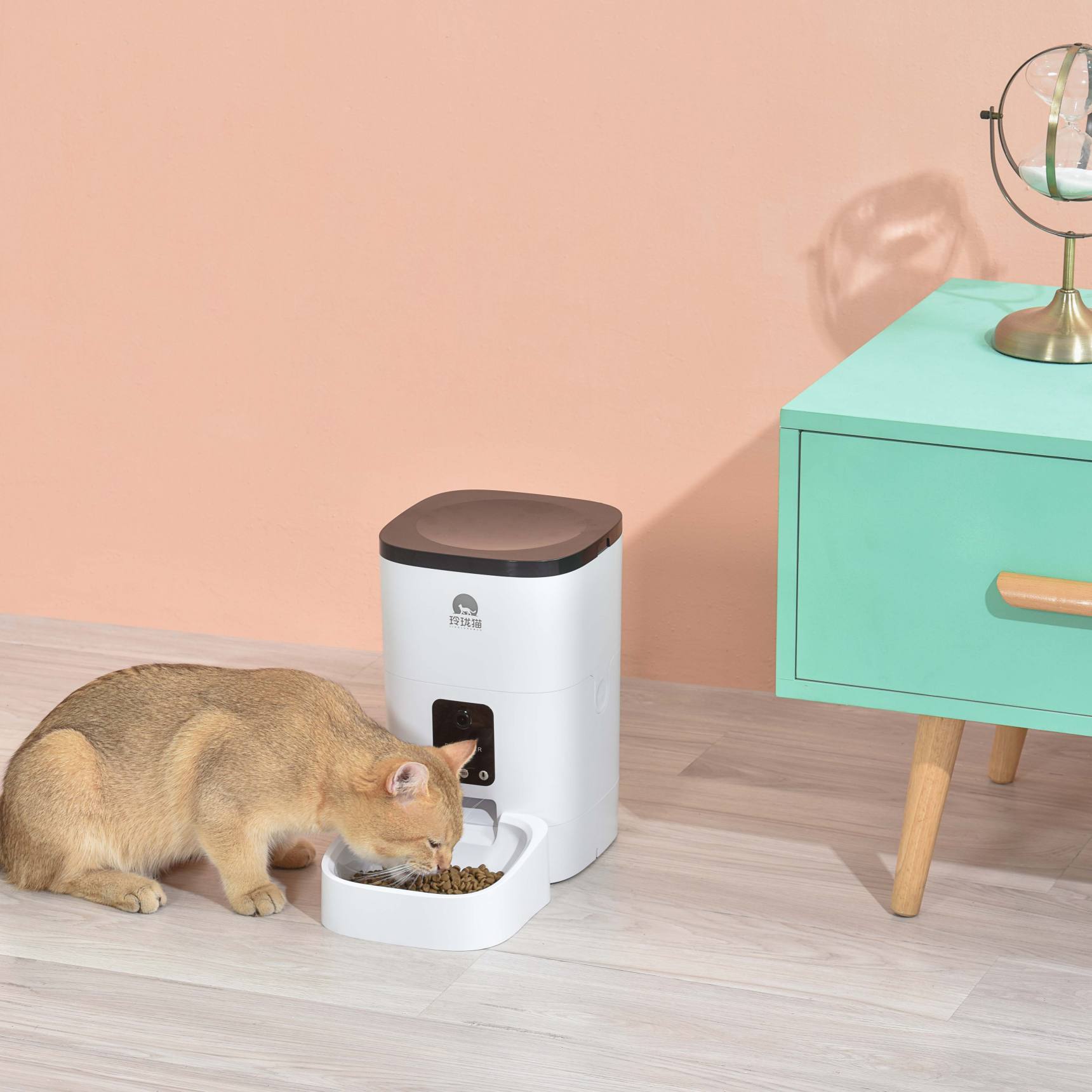 6L Auto smart feeding Promotional Buleteeth Control Durable Dog Cat Pet Feeder