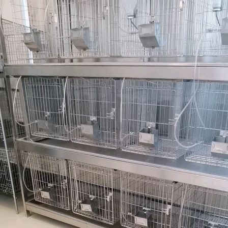 laboratory rabbit cage