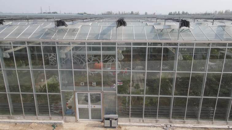 Agriculture multi-span arch plastic film Greenhouse tomato greenhouse and strawberry greenhouse turnkey project