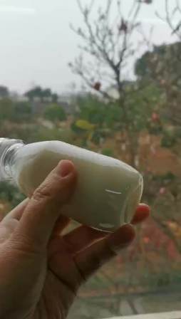 natural crystal white honey kyrgyzstan