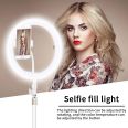 Wholesale Beauty 10 inch ring light Portable Desktop Selfie Makeup Led Ring Light for tik tok