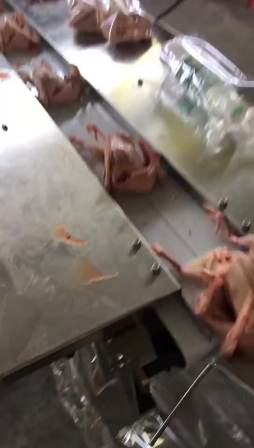 Automatic horizontal frozen food dumpling /sausage/fish /chicken meat packing machine