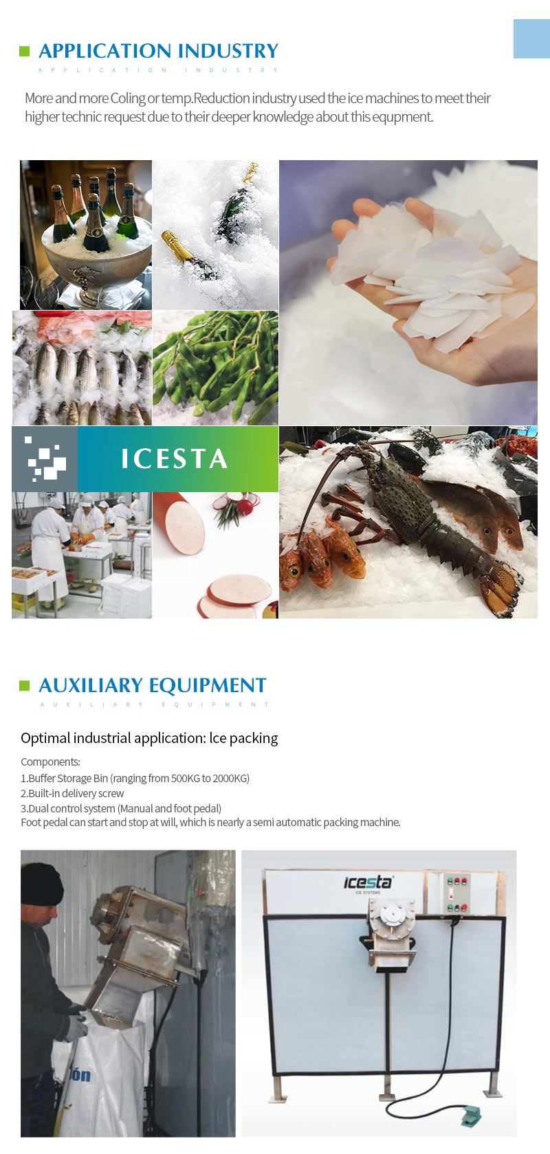ICESTA low price 1000 3000 kgs ice flake making machine manufacturer Best supplier