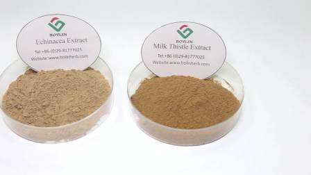 Natural  Chinese Yam Extract for Diosgenin 10% Powder