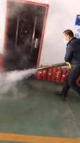 Disinfection fog smoke sprayer fogging machine agricultural pesticide mosquito spray fogger mist thermal fogging machine