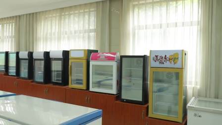 Supermarket Single Door Showcase Display Vertical Commercial Ice Cream Freezer SD-88L