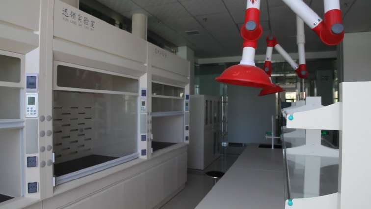 Modern lab air cleaning laboratory economic walk-in fume hood