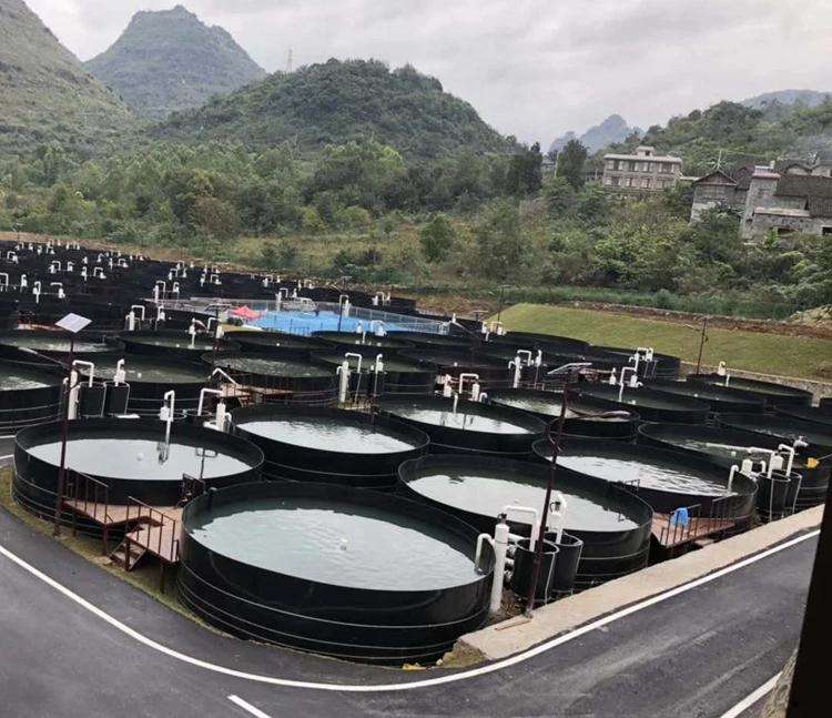 Geomembrane HDPE Liner Geomembrane 100% Virgin Material For Fish Farming Tank Shrimp Circular Pools