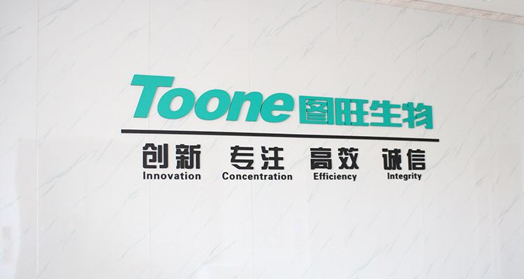 TOONE TW-303C   Microbial limit detector Integrated Ultra-small Oil-free Vacuum Pump Microbial limit test system