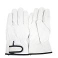 Factory offers attractively priced wearable sheepskin palm leather driver gloves